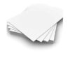 Ivory Sheets