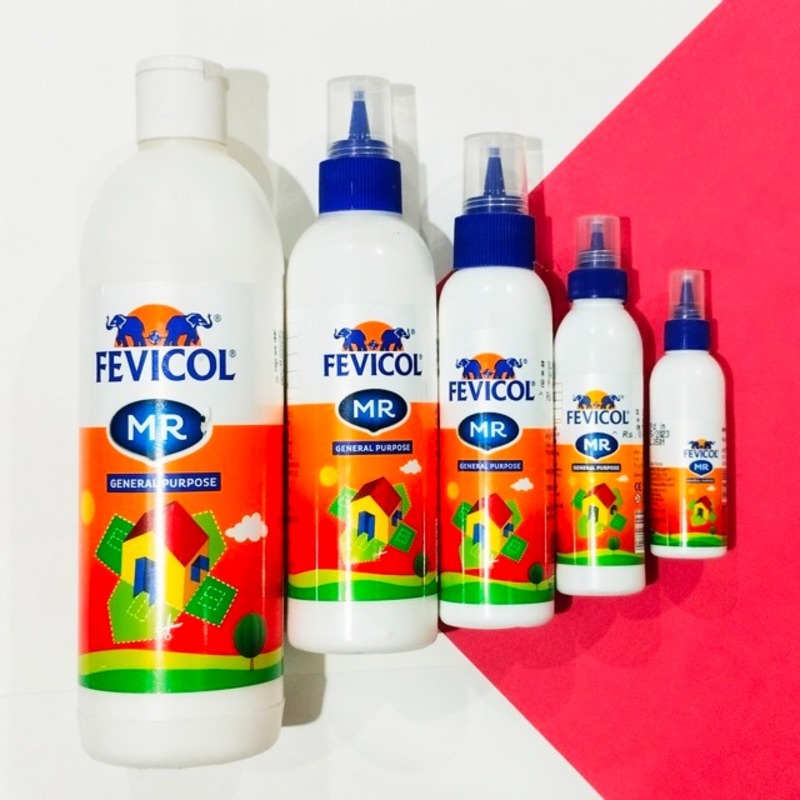 Fevicol Adhesive